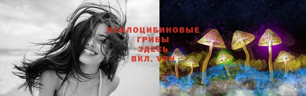 дживик Волосово
