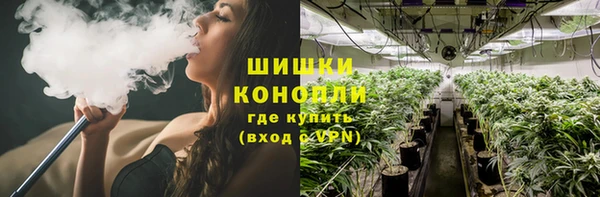МДПВ Володарск