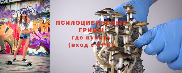 МДПВ Володарск