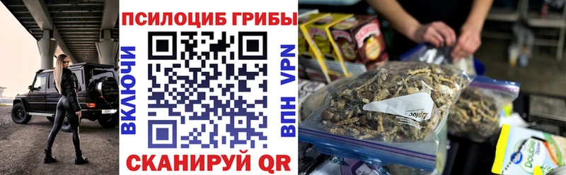 Галлюциногенные грибы GOLDEN TEACHER  omg рабочий сайт  Камызяк  купить  сайты 