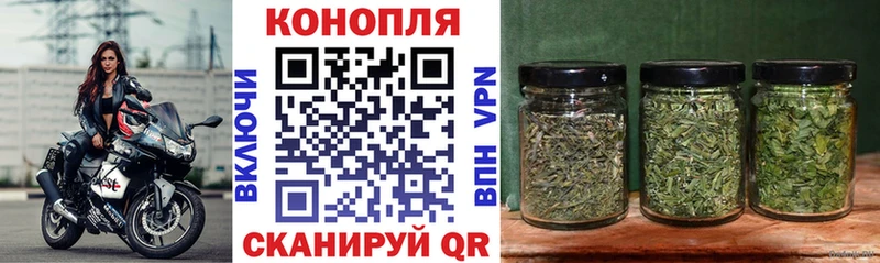 hydra онион  Камызяк  Марихуана OG Kush 
